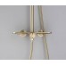 Душевая система Bronze de Luxe Icon 80112CG, матовое золото
