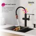 Смеситель для кухни с фильтром и гибким изливом Iddis Ikon IKNBLFFi05, черный