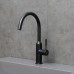 Смеситель для кухни Lemark Expert LM5079BL, черный